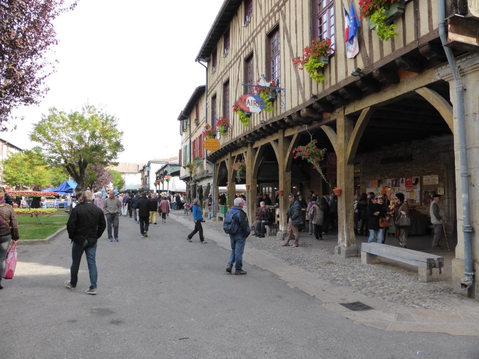 Gite De La Bastide - Typique De Mirepoix Мирпоа Екстериор снимка
